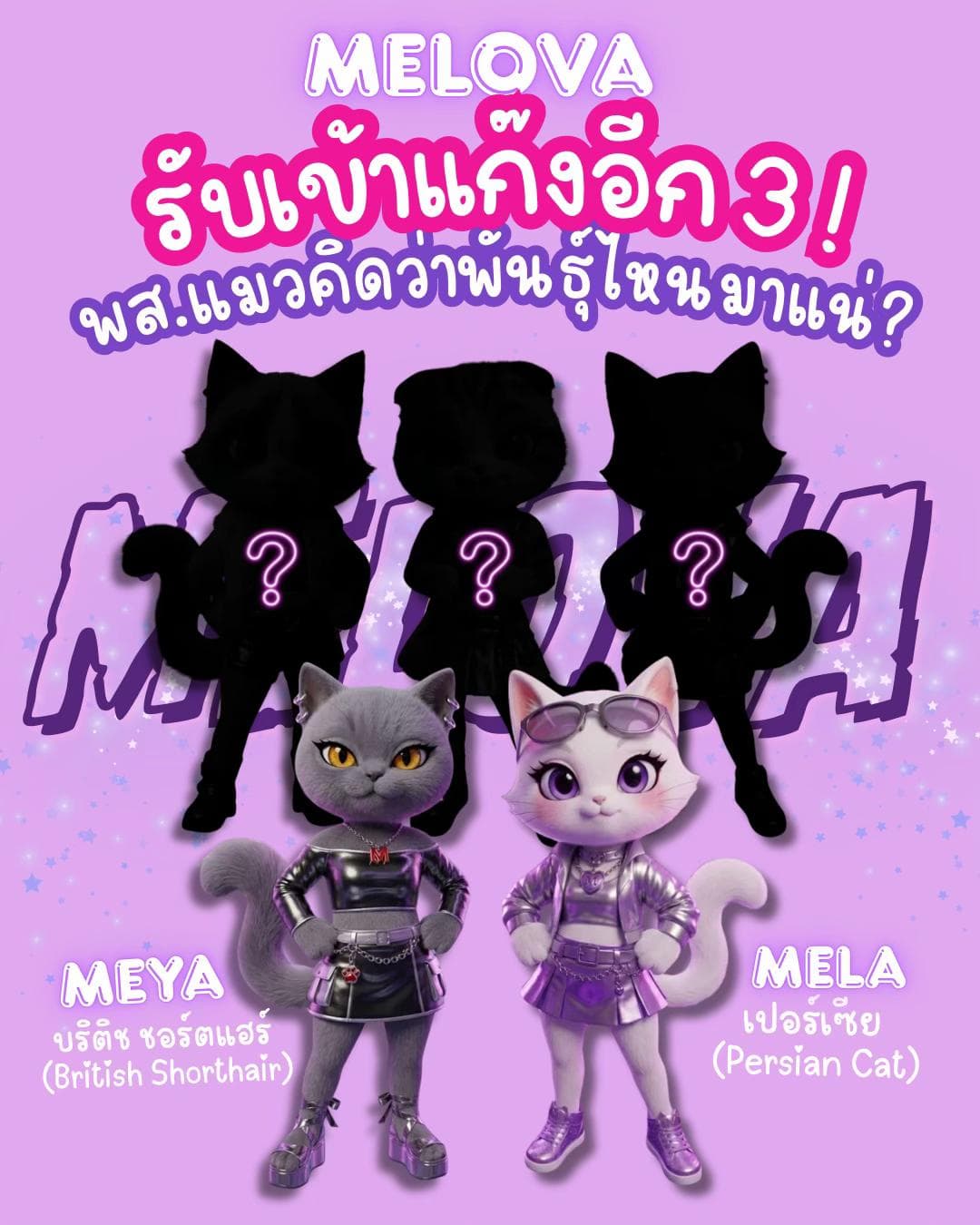 * รับสมัครลูกสาวเพิ่ม 3 ตำแหน่ง  พส.แมวอยากให้พันธุ์ไหนดี ❤️🐱 เมนต์ด่วนนนน #NovoDoveCabelos #Melova #ทาสแมว #แมว #MelovaGlowFilterTint